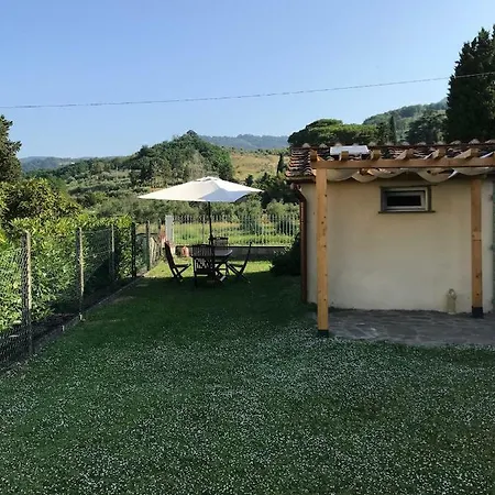 Casamariu Holiday home Lucca